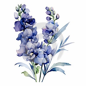 Watercolor Floral Drawing Of Blue Flowers - Elegant And Naturalistic Compositions