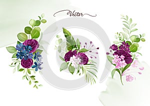 Watercolor floral frame and arrangements elements of purple roses