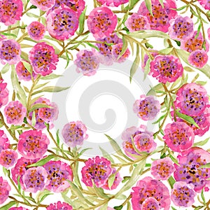 Watercolor floral frame made of wildflowers Drawn meadow field flowers and leaves wild herbs  frame wreath isolated on white