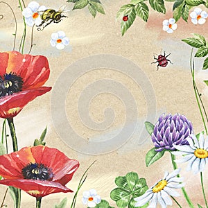 Watercolor floral frame with poppies, clover, chamomiles and bee