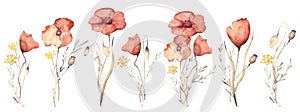 Watercolor floral hand drawn set with delicate illustration of bouquets with blossom scarlet poppies, yellow wildflowers