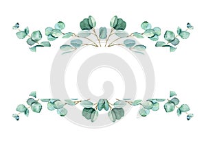 Watercolor floral horisontal frame. Eucalyptus branches isolated on white background. Can be used for wedding, greeting