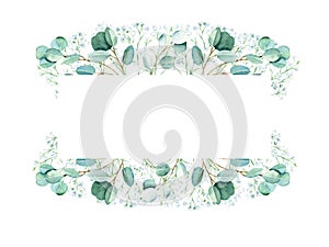 Watercolor floral horisontal frame. Eucalyptus and gypsophila branches isolated on white background. Can be used for