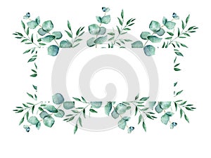 Watercolor floral horisontal frame. Eucalyptus and pistachio branches isolated on white background. Can be used for