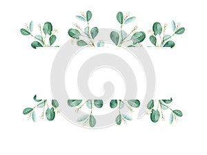 Watercolor floral horisontal frame. White creamy roses, eucalyptus branches isolated on white background. Can be used