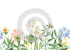 Watercolor floral horizontal pattern with wildflowers, leaves, foliage, plants. Garden banner botanical background.