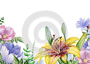 Watercolor floral image with lily, violet and chicory flowers
