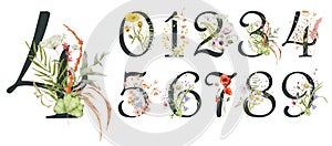 Watercolor floral numbers set with wild flowers from 0 to 9