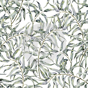 Watercolor floral pattern with eucalyptus branch. Hand painted ornament with exotic leaves isolated on white background