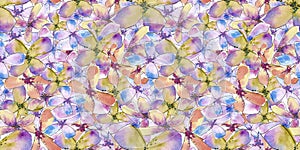 Watercolor floral pattrn, abstract colorful seamless background. watercolor hand drow flowers photo