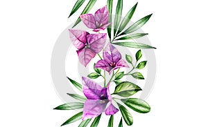 Watercolor floral seamless border. Bougainvillea flowers, palm leaves in repetitive pattern. Hand painted tropical
