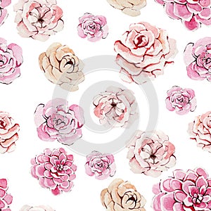 Watercolor floral seamless pattern with delicate flowers on a white background