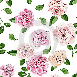 Watercolor floral seamless pattern with delicate flowers on a white background
