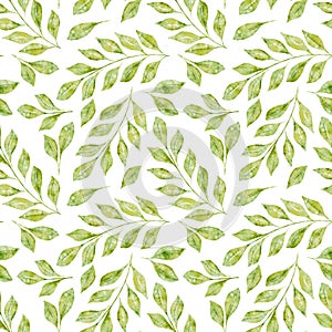 Watercolor floral seamless pattern with green leaves and branches isolated on white background