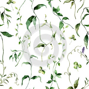 Watercolor floral seamless pattern of meadow wild herbs. Hand painted plants elements isolated on white background