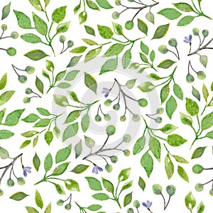 Watercolor floral seamless pattern with painted green branches, leaves, blue flowers. Hand drawing floral background