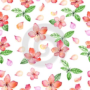 Watercolor floral seamless pattern with spring delicate flowers and leafs