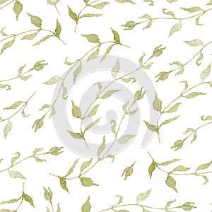Watercolor Floral Seamless Pattern on White Background