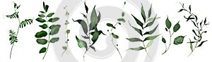 Watercolor floral set of green leaves, branches, twigs etc. Vector traced isolated greenery illustration.