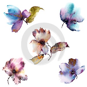 Watercolor floral set. Painting flowers for card design. Transparent floral petals.