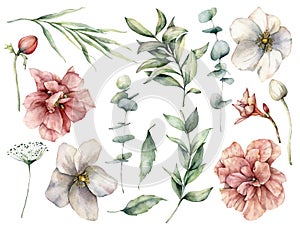 Akvarel sada biely a ružový kvety a listy. ruka namaľovaný ruže púčiky bobule na 