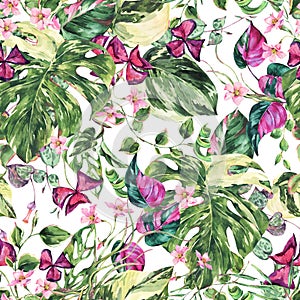 Watercolor floral tropical leaves seamless pattern. Monstera greenery botanicaltexture. Succulent summer wallpaper