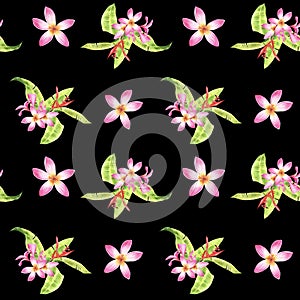 Watercolor floral tropical seamless pattern with green monstera leaves and pink plumeria flowers on black