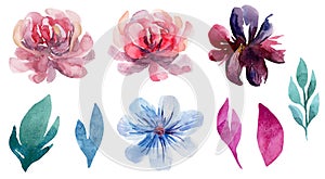 Watercolor floral vector clip art set. Pink flowers