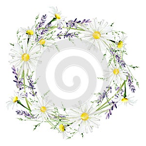 Watercolor floral wreath, delicate green leaves, lavender and chamomile. Cute minimal greenery circle frame wildflowers invitation