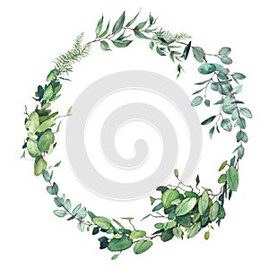 Watercolor floral wreath with eucalyptus