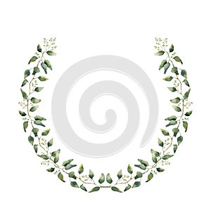Watercolor floral wreath with eucalyptus leaves. Hand painted floral wreath with branches, leaves of eucalyptus isolated on white