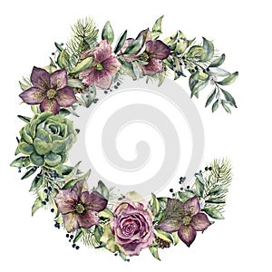 Watercolor floral wreath with hellebore flowers. Hand painted snowberry, fir branch and leaves, berry, succulent, rose