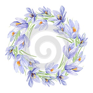 Watercolor floral wreath illustration with crocus, green leaves, for wedding stationery, greeting card, baby shower, banner
