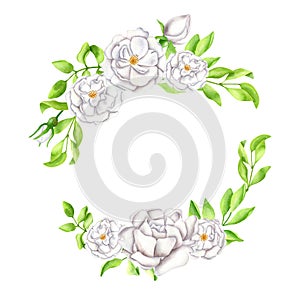 Watercolor floral wreath illustration. Hand painted bunch of white flowers and leaves. Round greenery border frame for