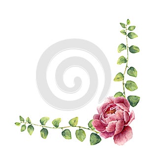 Watercolor floral wreath with leaves of twig herb and peony flowers. Hand painted floral border with branches, leaves of