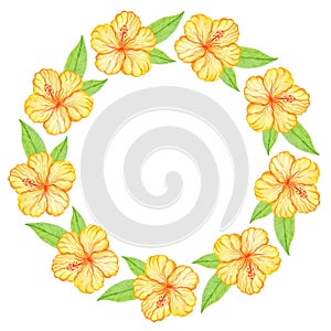 Watercolor floral wreath with tropical hibiscus flowers and leaves isolated on white background. Botanical illustration.