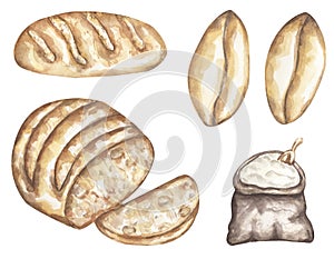 Watercolor flour with sack, wheat grain and bread illustration set. Hand drawn watercolour food clipart collection