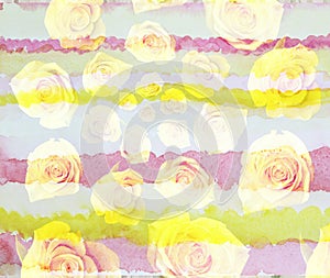 watercolor flower background with yellow roses, spiral, made with color filters