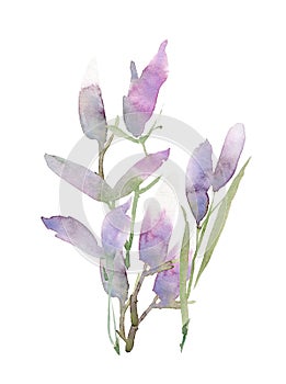 Watercolor flower composition. Hand drawn floral artwork. Fullsize raster.