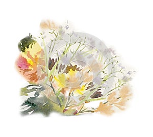 Watercolor flower composition. Hand drawn floral artwork. Fullsize raster.