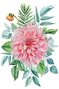 Watercolor Flower Dahlias, eucalyptus, greenery branch leaves. Wedding invitation card. Pink Floral bouquet design.