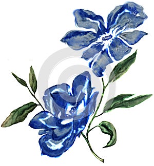 Watercolor flower design