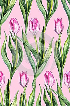 Watercolor flower floral pink tulip seamless pattern background