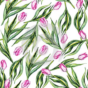 Watercolor flower floral pink tulip seamless pattern background