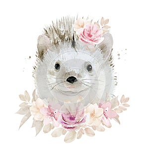 Watercolor flower hedgehog animal on white background on floral border.