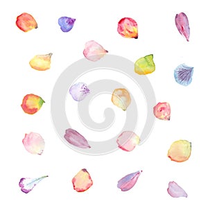 Watercolor flower petals. photo