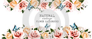 Watercolor flower vintage background with beautiful roses