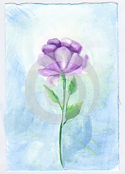 Watercolor flower violet elegant and soft