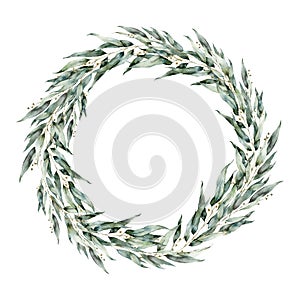 Watercolor flowering eucalyptus wreath. Hand painted tropical branches, leaves and twigs isolated on white background