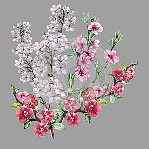 Watercolor Flowers Apple Cherry and Peach. Handiwork Illustration.